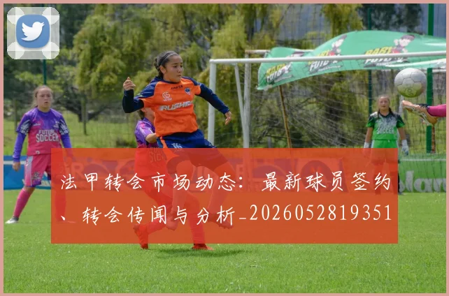 法甲转会市场动态：最新球员签约、转会传闻与分析_20260528193510