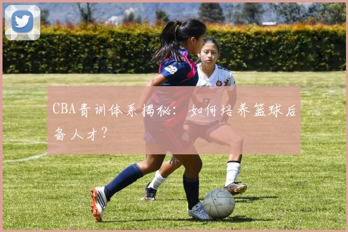 CBA青训体系揭秘：如何培养篮球后备人才？