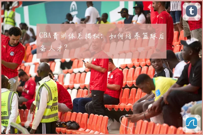CBA青训体系揭秘:如何培养篮球后备人才?